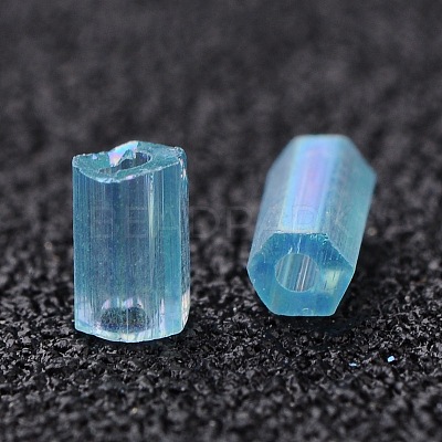 Two Cut Glass Seed Beads CSDB163-1