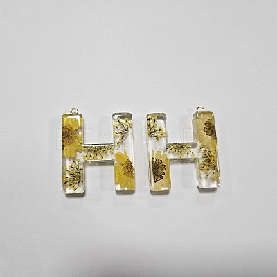 Transparent Epoxy Resin Pendants CRES-YW0002-12H-1