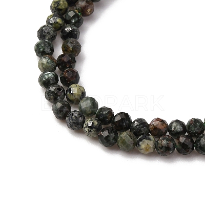 Natural Seraphinite Beads Strands G-RM2025-A42-3mm-1