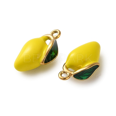 304 Stainless Steel Enamel Pendants STAS-B100-06G-06-1