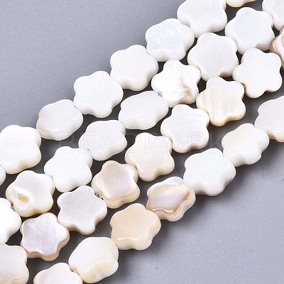 Natural Freshwater Shell Beads Strands SHEL-N027-02-1