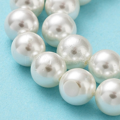 Shell Pearl Bead Strands X-BSHE-L026-03-8mm-1