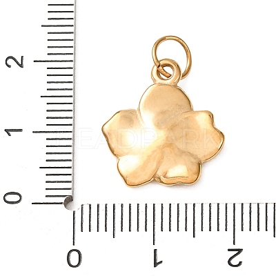 304 Stainless Steel Enamel Pendants SA-CBAAB49-01G-1