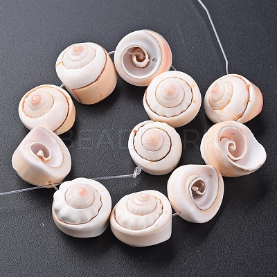 Natural Spiral Shell Bead Strands SSHEL-N034-106-1