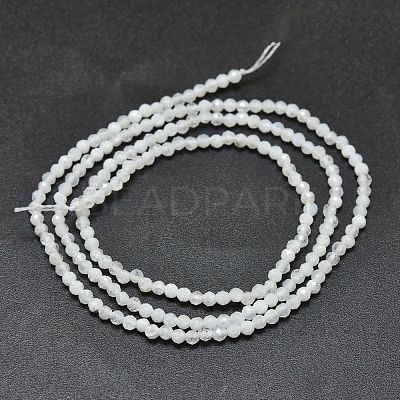 Natural Rainbow Moonstone Beads Strands G-O186-D02-1