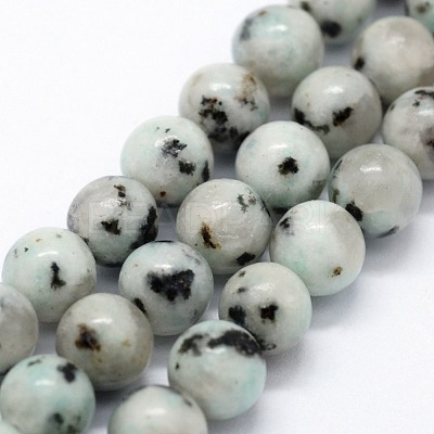 Natural Sesame Jasper/Kiwi Jasper Beads Strands X-G-I199-29-4mm-1