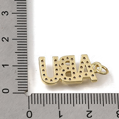 Brass Micro Pave Clear Cubic Zirconia Pendants KK-C262-48G-1