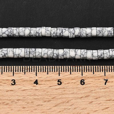 Dyed Synthetic Turquoise Beads Strands G-Z089-A04-A-1