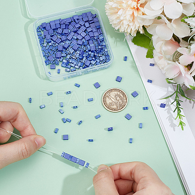 300Pcs 2 Styles 2-Hole Baking Paint Glass Seed Beads SEED-ME0001-08A-1