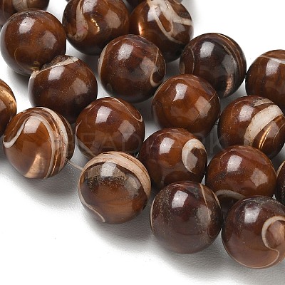 Natural Trochus Shell Beads Strands SH-CBAFEDD-02D-1