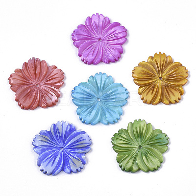 Natural Freshwater Shell Beads X-SHEL-N026-10-1