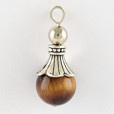 Natural Tiger Eye Pendants G-Q459-02L-1