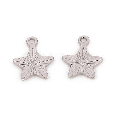 Non-Tarnish 201 Stainless Steel Charms STAS-L244-18P-1