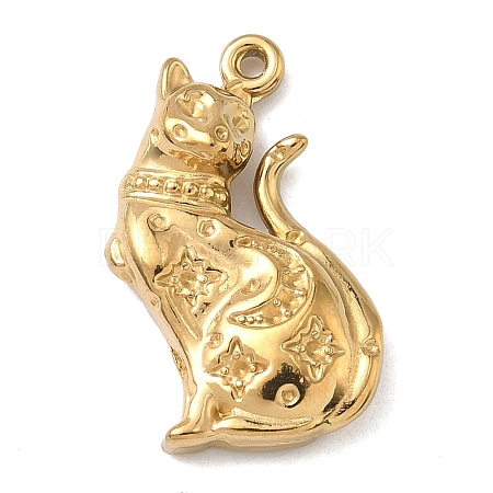 304 Stainless Steel Pendants STAS-K322-20A-G-1