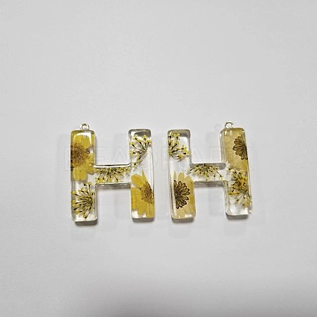 Transparent Epoxy Resin Pendants CRES-YW0002-12H-1