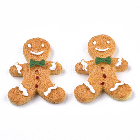 Resin Decoden Cabochons CRES-N022-108-1