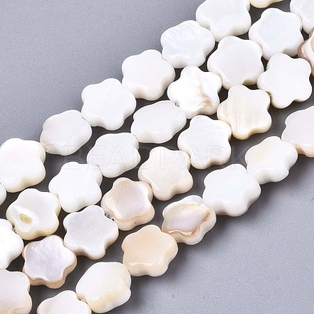 Natural Freshwater Shell Beads Strands SHEL-N027-02-1