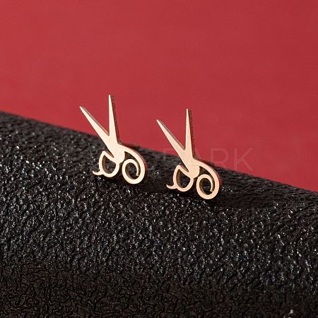 Stainless Steel Stud Earrings for Women PW-WGFE412-23-1