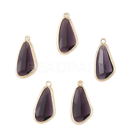 5Pcs Glass Pendants GLAA-YW0004-78G-1
