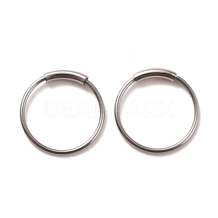 Non-Tarnish 304 Stainless Steel Hoop Earrings STAS-Z037-02P-1