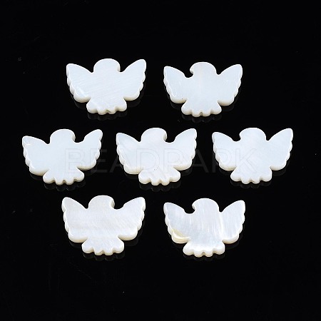 Natural Freshwater Shell Beads X-SHEL-N026-76-01-1