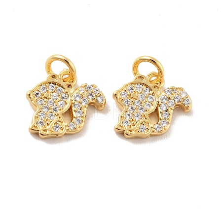 Squirrel Brass Micro Pave Clear Cubic Zirconia Charms KK-G425-11G-1