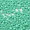 Baking Paint Glass Seed Beads SEED-H002-I-A509-3