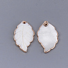Electroplate Freshwater Shell Pendants SHEL-S274-57-2