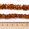 Natural Amber Beads Strands G-K376-C01-01-5