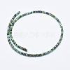 Natural African Turquoise(Jasper) Beads Strands G-E444-49-4mm-2