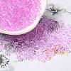 Transparent Colours Glass Seed Beads SEED-P007-02A-07-1