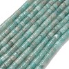 Natural Amazonite Beads Strands G-P608-A05-01-2