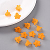 Transparent Acrylic Beads PLF018-08-7