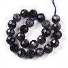 Natural Cordierite/Iolite/Dichroite Beads Strands G-S345-8mm-27-3
