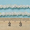 Natural White Shell Dyed Beads Strands BSHE-Z005-03G-4