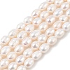 Natural Cultured Freshwater Pearl Beads Strands PEAR-I007-01D-06A-02-2
