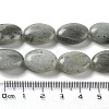 Natural Labradorite Beads Strands X-G-L164-A-34-5