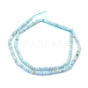 Natural Larimar Beads Strands G-I279-D01-02-2