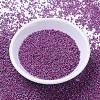 MIYUKI Delica Beads SEED-J020-DB1015-2