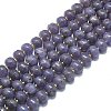 Natural Lepidolite/Purple Mica Stone Beads Strands G-P573-B05-01-2