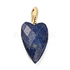 Natural Lapis Lazuli Pendants G-C290-01B-1
