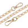 Alloy Twisted Chain Bag Chains X-AJEW-H145-86G-1