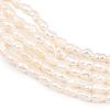 Natural Cultured Freshwater Pearl Beads Strands PEAR-D003-01D-01-4