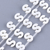 Natural Freshwater Shell Beads SHEL-T012-59S-1
