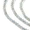 Natural Labradorite Beads Strands G-Z034-B04-01-4