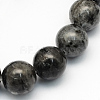 Natural Larvikite Round Beads Strands LS-G-S159-6mm-1