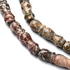 Natural Leopard Skin Jasper Beads Strands G-C135-C01-01-3