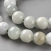 Natural Jadeite Beads Strands X-G-S362-104B-3