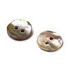 Abalone Shell/Paua Shell LS-BSHE-I011-04D-2