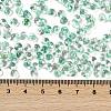 6/0 Spray Paint Fringe Glass Seed Beads X1-SEED-H003-11L-4